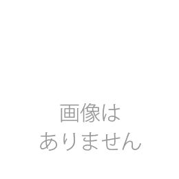 小皿60枚セット